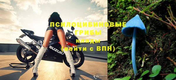 бутират Надым