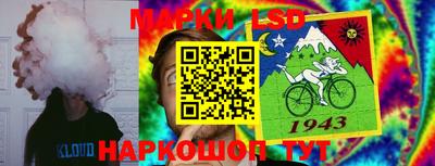 прущая мука Будённовск