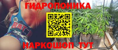 прущая мука Будённовск