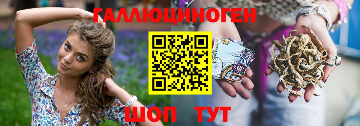 Галлюциногенные грибы Cubensis Обнинск
